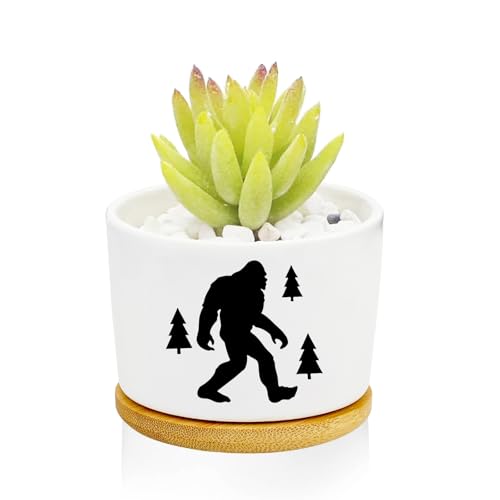 1Pcs Compatible with Bigfoot Planter Pots with Drainage, Tray, Ceramic Pot | Small Planters for Plants,Decoration for Outdoors,Home,Office,Window,Garden,Gifts for Women Men (No Plants Included) - style: Compatible with Bigfoot