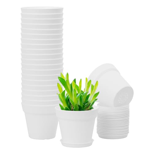 20 Pack 4 inch Plant pots, planters for Indoor Plants, Flower pots, White - color: 4-white, size: 4 inch
