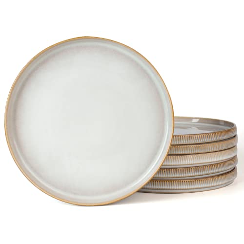 famiware Star 10/8 inches Dinner Plates Set for 6, Cappuccino White | Fine Stoneware Kitchen Plates for Salad, Dessert, Double Reactive Glaze, Microwave Dishwasher Safe, Lead-free, Cadmium-free - color: Cappuccino White, size: 10"(6pcs)ST