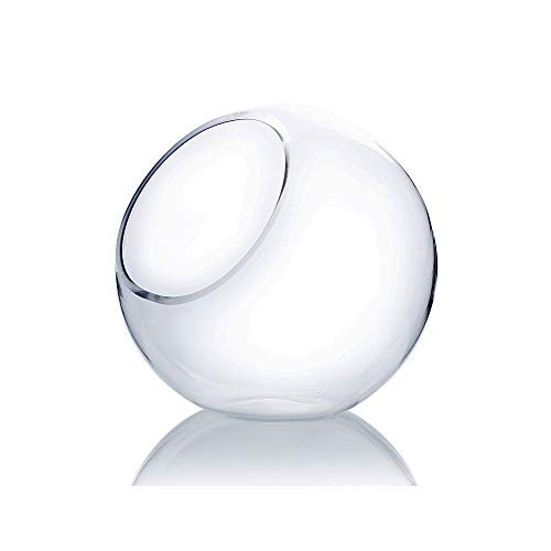 WGV Slant Cut Bowl Glass Vase, Width 9", Height 9", Clear Round Globe Planter Terrarium Orb, Candy Dish, Fruit Jar, Floral Container for Home Office Decor, 1 Piece - size: Orbit 9"D
