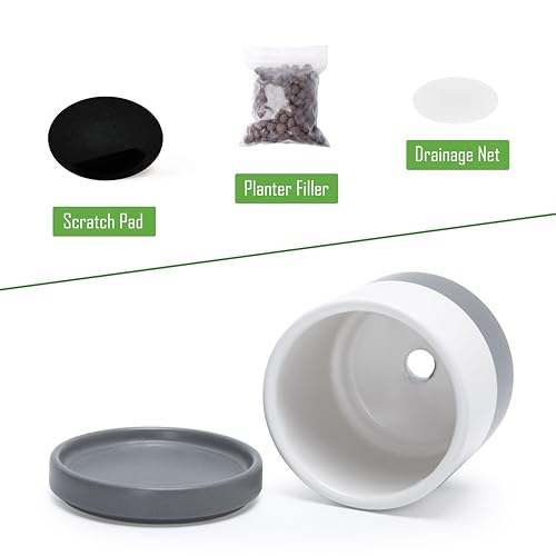 D'vine Dev 4-Pack Ceramic Pots with Saucers, White/Grey, 3.5 in, 94-X-A-6 | Glazed Ceramic, Drainage Hole and Saucer, Sleek Cylinder Shape, High Temperature Fired, Ideal for Small Houseplants - color: White/Speckled Grey, size: 3.5 Inch