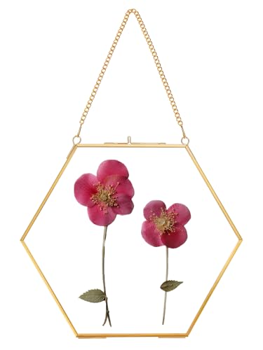 REDHUGO Glass Pressed Flower Frame Handmade, Hexagon, Gold | Double Glass, Brass Floating Picture Frames, Wall Hanging Round Picture, for Dried Flowers Home Wall Decor (FRAME ONLY) - color: Gold, size: 8L" x 9.4W"