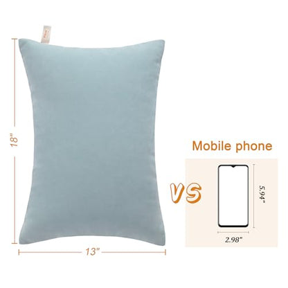 BEDSUM Toddler Pillows 13x18 Microfiber: Travel Inserts, 2 Pack, Sea Green | Soft brushed microfiber, 13x18 size, 2 pillow inserts, machine washable, lightweight for daycare, travel, and home use - color: Sea Green, size: 13x18 inches
