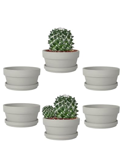 5.7 Inch Grey Terracotta Shallow Succulent Pots - 6 Pack Terra Cotta Clay Pot with Saucer, Cacuts Indoor and Outdoor Planters with Drainage Hole - color: Gray, size: 5.7 Inch