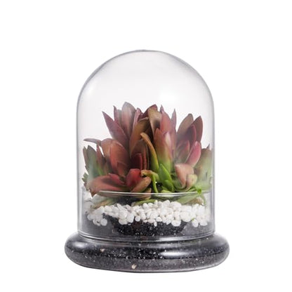 NCYP Small Clear Decorative Glass Terrarium Cloche with Air Hole - 4.7 x 4.7 x 6.3 Inches Glass Dome with Base for Miniature Carnivorous Plants (No Plants Included) - size: 4.7x4.7x6.3inches