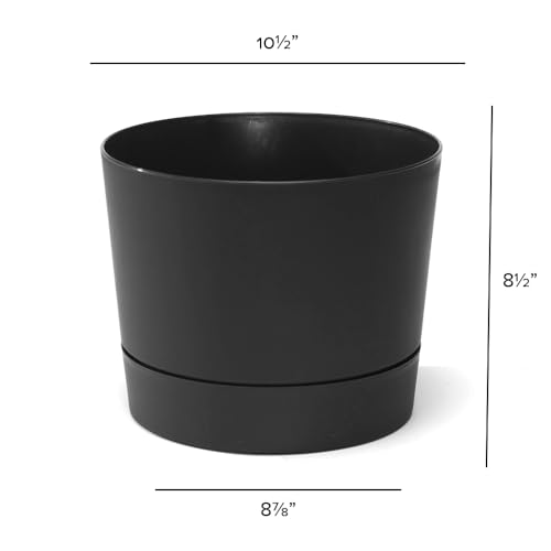 Root & Vessel Majestic Mid-Century Modern Low Profile Cylinder Pot, Matte Black, 10.5" - color: Matte Black, size: 10.5-Inch