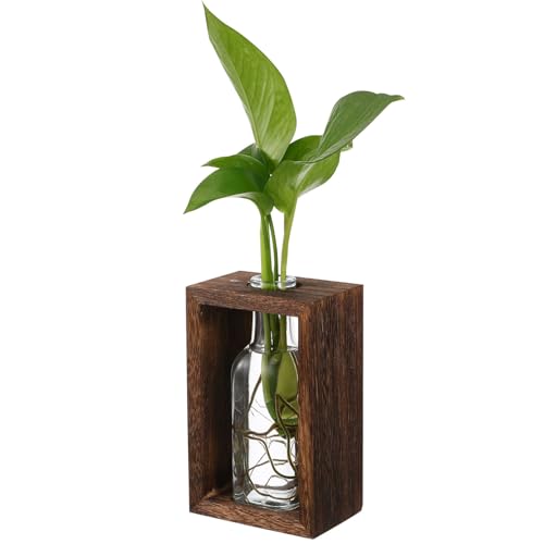 1set Rustic Wooden Desktop Planter Box with Transparent Glass Bottle for Easy Indoor Plant Propagation Versatile Hydroponic Display Suitable for Tabletop Decor and Desk Gardening