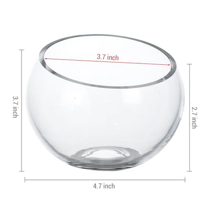 MyGift 5 Inch Clear Glass Round Bowl Air Plant Terrariums, Set of 4 | Versatile glass vessels showcase plants, candles, and decorative accents for weddings, events, shelves, and tabletop displays - size: Set of 4 (Round)