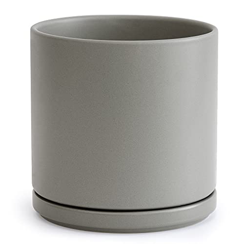 D'vine Dev 10 Inch Ceramic Planter Pot, Grey, 94-O-E-3 | Modern Cylinder Design, Drainage Hole & Saucer Included, Stable Structure, Elegant Home Accent - color: Gray, size: Large