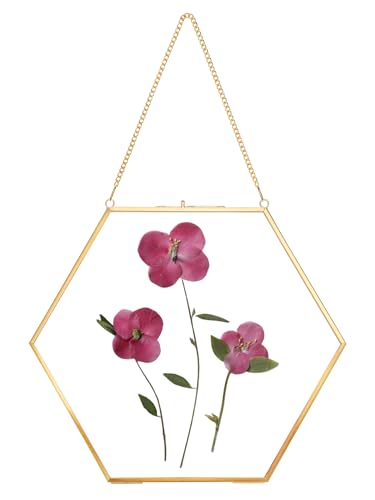 REDHUGO Glass Pressed Flower Frame Handmade, Hexagon, Gold | Double Glass, Brass Floating Picture Frames, Wall Hanging Round Picture, for Dried Flowers Home Wall Decor (FRAME ONLY) - color: Gold, size: 10L" x 11.8W"