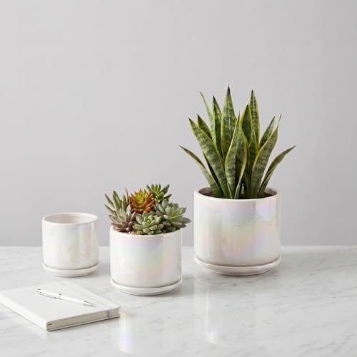 EFISPSS Plant Pots, 4+5+6 Inch Pots for Indoor Plants,Ceramic Planter Pot with Drainage Hole,Flower Pots for Succulent Cactus,Set of 3 - Rainbow Pearl Glaze - color: Rainbow Pearl Glaze