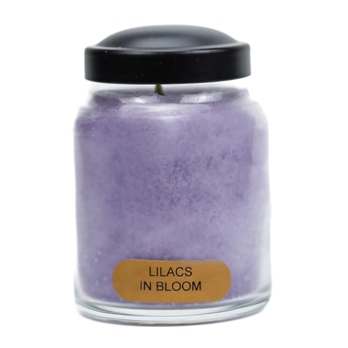 A Cheerful Giver - Lilacs In Bloom Baby Scented Glass Jar Candle (6oz) with Lid & True to Life Fragrance Made in USA - size: 6oz Baby