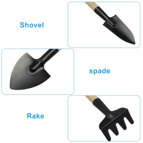 Mini Garden Tools, 3 Pcs Indoor Gardening Tools Set with Small Trowel, Mini Shovel & Hand Rake, Rust-Resistant Metal & Solid Wood for House Plant Tools, Succulent & Bonsai Potting