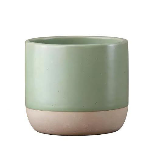 Japanese Ceramic Mug, Vintage Tea Cup, 8oz Cup, No Handle Drinking Cup for Latte Milk Water Beverage Juice Microwave and Dishwasher Safe (Green) - color: Green