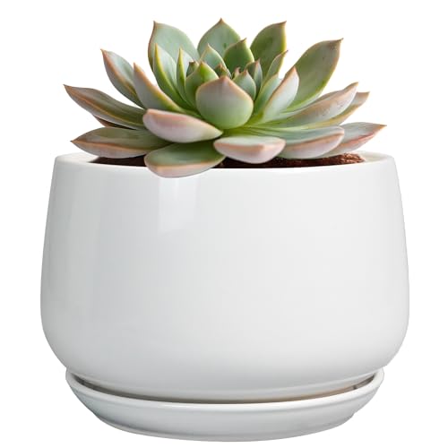 G EPGardening Ceramic Pots for Plants - 6 Inch Planter for Indoor Plants, Flower Pots with Drainage and Ceramic Tray, Modern Office Decor, Gifts for Plant Lovers, White - color: White, size: 5 Inch