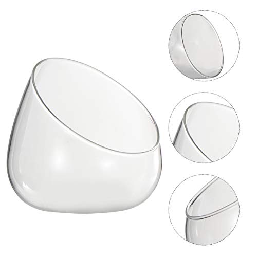 Cabilock Clear Slant Cut Bubble Bowl Glass Vase Bowl Round Globe Planter Terrarium Orb Candy Dish Fruit Jar Floral Container for Home Office Decor
