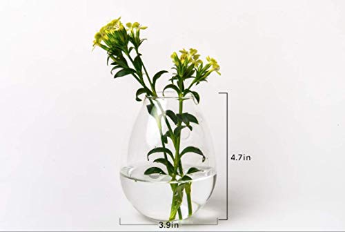 Kingbuy Egg Shaped for Propagating Hydroponic Plants 4 Pack Wall Planter | Borosilicate glass, clear & durable. Egg-shaped wall-mounted vases. Ideal for hydroponics, air plants, cuttings. Great gift. - color: Ellipse Shape