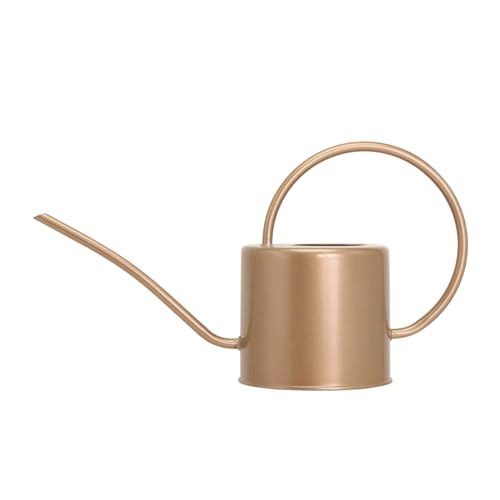 Indoor Watering Can for Houseplants- Long Spout Metal Watering Can for Indoor Plants,Succulents or Outdoor Garden Flower, 1.7L / 40 oz Gold - color: Gold