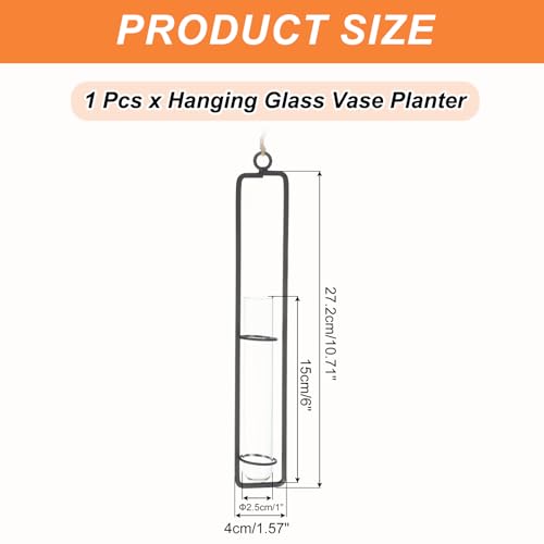 PATIKIL Plant Propagation Wall Hanging Terrarium with Metal Holder, 1 Sets Medium Glass Planter Tube Vase for Hydroponic Flower Office Bathroom Bedroom Decor, Black