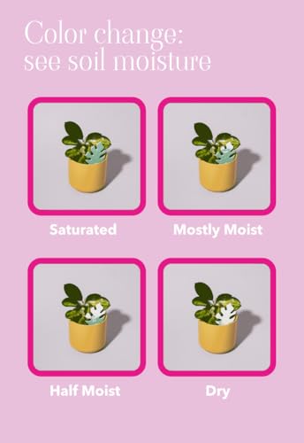 Paper-Based Soil Moisture Meter for Houseplants – Know When to Water, Prevent Overwatering – 5 Pack (PlantDoc Cactus) - style: Cactus PlantDoc - 5 Pack