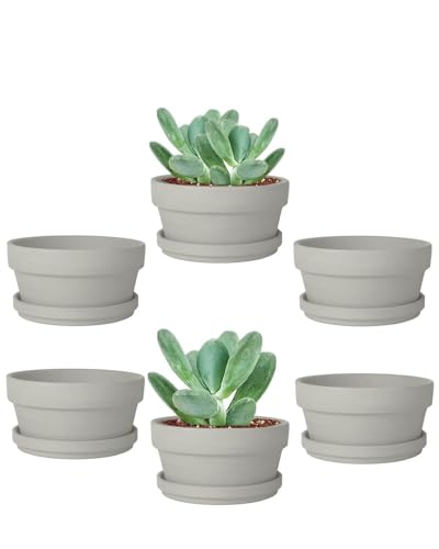 3.7 Inch Grey Terracotta Shallow Succulent Pots - 6 Pack Terra Cotta Clay Pot with Saucer, Cacuts Indoor and Outdoor Planters with Drainage Hole - color: Gray, size: 3.7 Inch