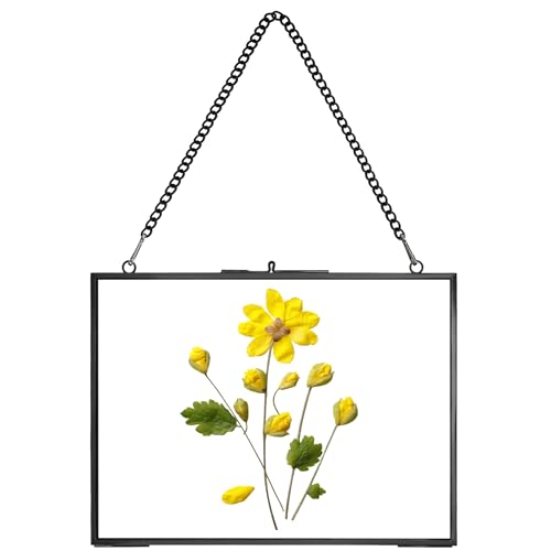 REDHUGO Hanging Pressed Flower Frame Handmade, Black, 6×8 inches | Double Glass Picture Frame Floater frame Floating Frame for Pressed Flowers Home Wall Artwork, Rectangle Horizontal - color: Black, size: 8L" x 6W"