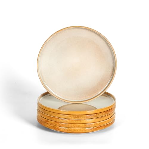 vicrays Ceramic Salad Plates Set - Porcelain 8 Inch Flat Dessert Appetizer Plate for Lunch Home Party Restaurant - Scratch Resistant Microwave Oven and Dishwasher Safe - Set of 6 (Beige) - color: Beige