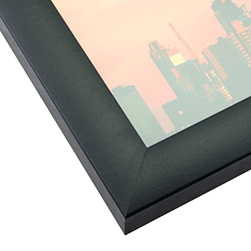 Craig Frames 14x20 Picture Frame, Black Contemporary Style, 1 Inch Wood Composite Moulding, Smooth Wrap Finish, Clear Acrylic Front, White Collage Mat with 2 Openings for 8x10 Photos, Wall Display - color: 2 8x10 Openings - 2" Border