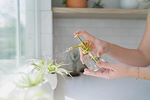 Glass Plant Watering Mister – 8 Ounces Gold Accent Plant Spray Bottle – Single Handed Watering Can for Indoor Plants