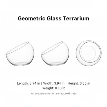 Geometric Glass Terrarium, Borosilicate Planter for Succulents and Air Plants, Desktop Display Vessel (1 PC)