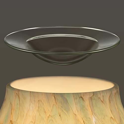 EQUSUPRO 4" Replacement Glass Round Dish Bowl for Oil Wax Melt Warmers Burners (Clear Glass)