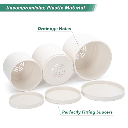 D'vine Dev 3-Pack Plastic Pots & Saucers, 6/6.5/8 in, Oatmeal, 74-V-H-3 | Multi-Size Options, Lightweight Durable, Matte Finish, Cylinder Shape, Drainage Holes, Sleek Design, Detachable Saucer - color: Oatmeal, size: Medium