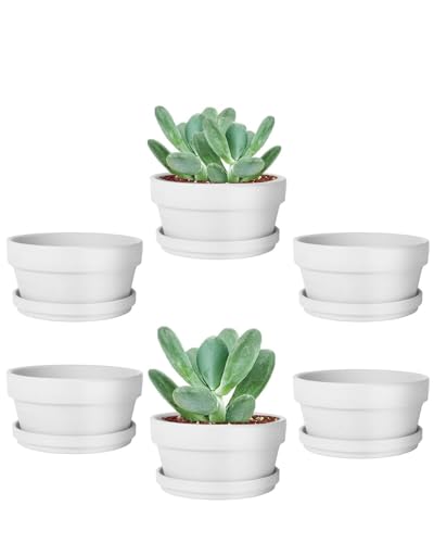3.7 Inch White Terracotta Shallow Succulent Pots - 6 Pack Terra Cotta Clay Pot with Saucer, Cacuts Indoor and Outdoor Planters with Drainage Hole - color: White, size: 3.7 Inch