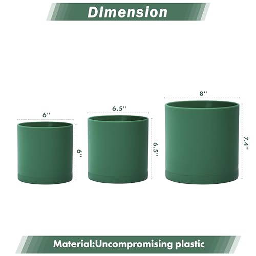 D'vine Dev 3-Pack Plastic Pots & Saucers, 6/6.5/8 in, Green, 74-V-D-3 | Multi-Size Options, Lightweight Durable, Matte Finish, Cylinder Shape, Drainage Holes, Sleek Design, Detachable Saucer - color: Green, size: Medium