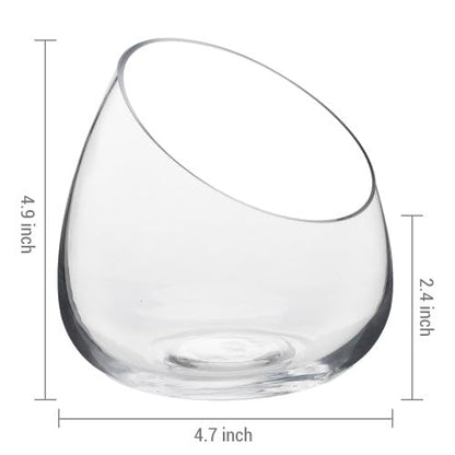 MyGift 5 Inch Premium Clear Glass Air Plant Terrarium, Tealight Candle Holder, Succulent Cactus Plant Vase, Set of 4 - size: Set of 4 (Slanted)