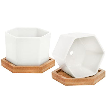 Foraineam 10 Pack Mini Succulent Plant Pots, 2.76 inch Hexagonal White Ceramic Succulent Cactus Planters with Bamboo Tray