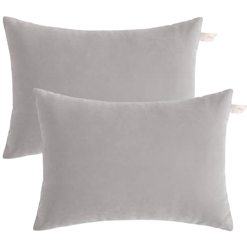 BEDSUM Toddler Pillows 13x18 Microfiber: Travel Inserts, 2 Pack, Light Grey | Soft brushed microfiber, 13x18 size, 2 pillow inserts, machine washable, lightweight for daycare, travel, and home use - color: Light Grey, size: 13x18 inches