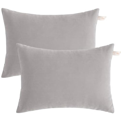 BEDSUM Toddler Pillows 13x18 Microfiber: Travel Inserts, 2 Pack, Light Grey | Soft brushed microfiber, 13x18 size, 2 pillow inserts, machine washable, lightweight for daycare, travel, and home use - color: Light Grey, size: 13x18 inches