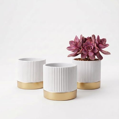 Set of 3 Cement Planter Pots with Drainage Hole,4 inch Plant Pots for Plants Indoor Houseplants,Succulent Pots Windowsil Planter (White&Gold) - color: White