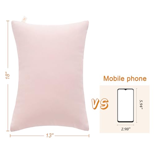 BEDSUM Toddler Pillows 13x18 Microfiber: Travel Inserts, 2 Pack, Pink | Soft brushed microfiber, 13x18 size, 2 pillow inserts, machine washable, lightweight for daycare, travel, and home use - color: Pink, size: 13x18 inches