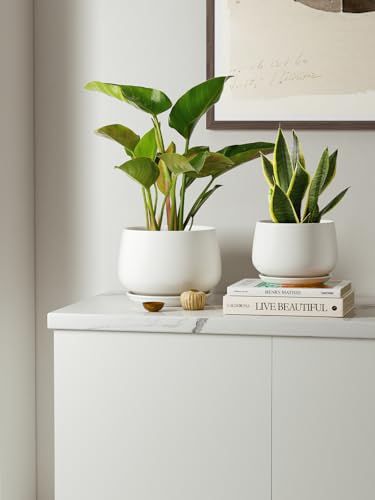 LE TAUCI Ceramic Plant Pots, 4.1+5.1+6.5 inch, Set of 3, Planters with Drainage Hole and Saucer, Indoor Flower Pot with Hole Mesh Pad, Gifts for Mom, White - color: White
