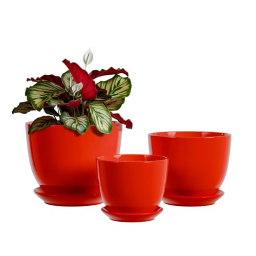 Ceramic Plant Pots - 4"/5"/6" Inch Red Planters Set of 3 with Drainage Holes and Saucer - Indoor Flower Pots for Plants Ceramic Planters for Indoor Gardening Succulent Pots(Red) - color: Red