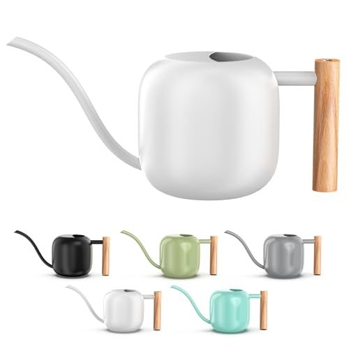 1.2L/41oz Metal Metal Watering Can with Long Spout, White | Metal Stainless Steel Watering Can for Indoor Plants, House Bonsai, Succulents, and Garden Flowers, Decorative Watering Cans - color: White