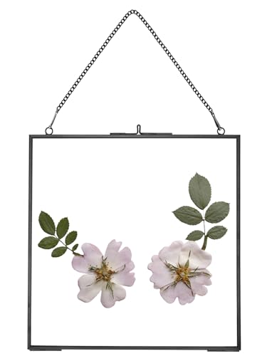 REDHUGO Glass Pressed Flower Frames, Square, Black, 8x8 Inches | Vintage Hanging Picture Frames with Chain, Handmade Brass Floating Frame, Plant Specimen Wall Display DIY Family Photo - color: Black, size: 8L" x 8W"
