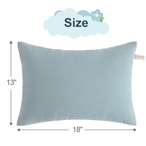 BEDSUM Toddler Pillows 13x18 Microfiber: Travel Inserts, 2 Pack, Sea Green | Soft brushed microfiber, 13x18 size, 2 pillow inserts, machine washable, lightweight for daycare, travel, and home use - color: Sea Green, size: 13x18 inches