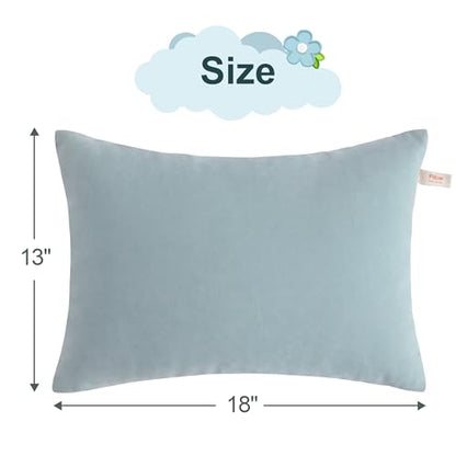 BEDSUM Toddler Pillows 13x18 Microfiber: Travel Inserts, 2 Pack, Sea Green | Soft brushed microfiber, 13x18 size, 2 pillow inserts, machine washable, lightweight for daycare, travel, and home use - color: Sea Green, size: 13x18 inches