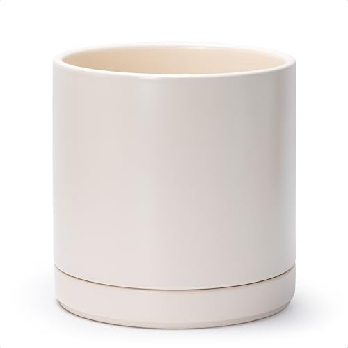 D'vine Dev 10 Inch Ceramic Planter Pot, Oatmeal, 94-O-E-8 | Modern Cylinder Design, Drainage Hole & Saucer Included, Stable Structure, Elegant Home Accent - color: Oatmeal, size: Large