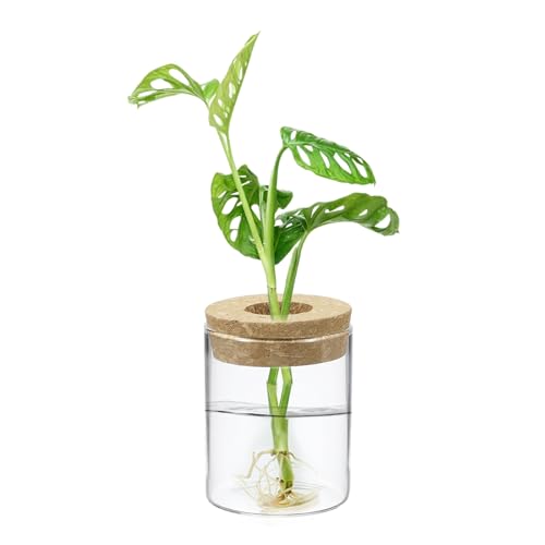 M METERXITY 1 Pack Glass Planter Terrarium with Wooden Cover, Desktop Plant Propagation Station Clear Vase for Hydroponic Plants Propagation/Home Garden Decor/Plant Lover [2.56'' x 3.15''] - size: 2.56'' x 3.15''