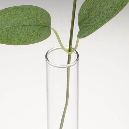 ORFOFE 2pcs Glass Propagation Vases with Wooden Stand for Indoor Plant Cutting, Modern Test Tube Hydroponic Plant Holders, Easy Cleaning Tabletop Containers for Home and Office Décor