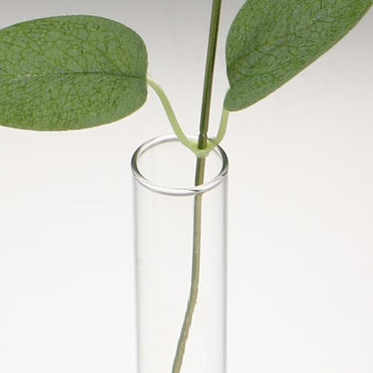 ORFOFE 2pcs Glass Propagation Vases with Wooden Stand for Indoor Plant Cutting, Modern Test Tube Hydroponic Plant Holders, Easy Cleaning Tabletop Containers for Home and Office Décor